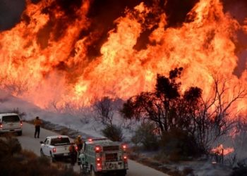 Thảm họa cháy rừng California: 50 người thiệt mạng, thảm khốc nhất lịch sử