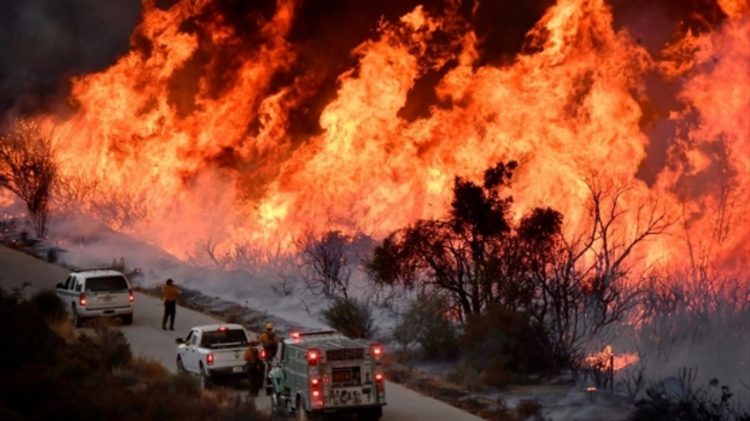 Thảm họa cháy rừng California: 50 người thiệt mạng, thảm khốc nhất lịch sử