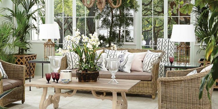 trồng cây xanh trong nhà 2