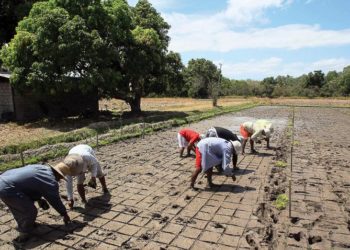Di trú từ nông thôn
