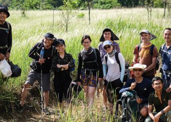 Những trảng cỏ tranh giữa thung lũng, bao quanh là rừng già 1