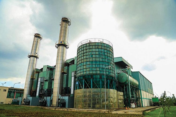 Ajinomoto Việt Nam