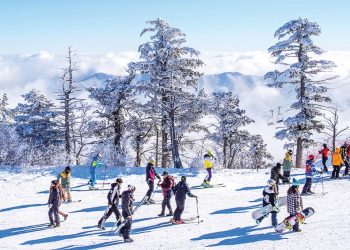 Thú vị mùa đông xứ Hàn