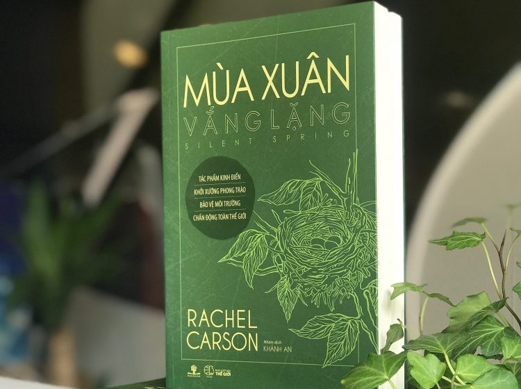 Mùa xuân vắng lặng sách