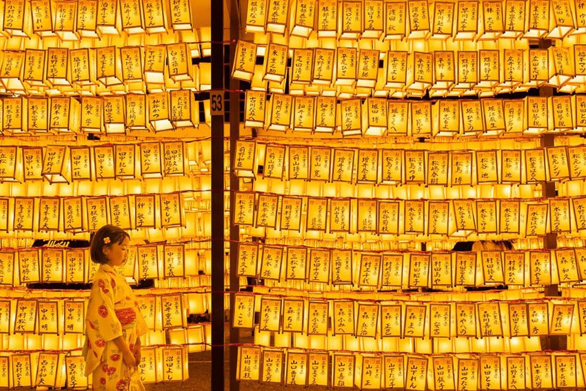 Bức ảnh Phật tử cầu nguyện trong top 70 ảnh đẹp nhất năm của NatGeo 7