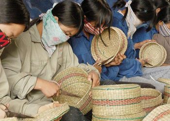 Doanh nghiệp siêu nhỏ Việt đang sợ đảo lộn, thiếu tự tin thay đổi