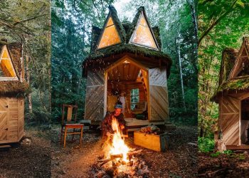 Ngôi nhà cabin đẹp hút hồn giữa thiên nhiên