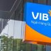 VIB khai trương hoạt động trụ sở chính tại TP.HCM