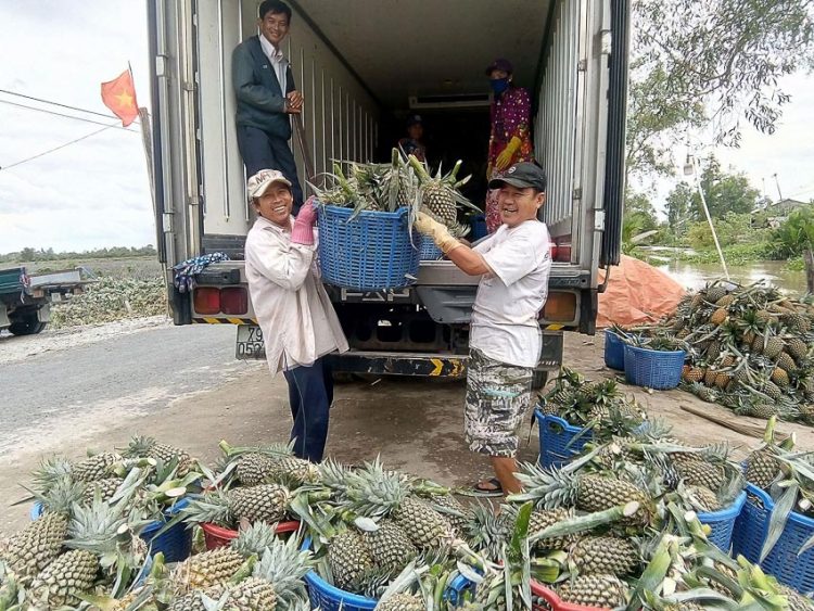 Xuất khẩu rau quả