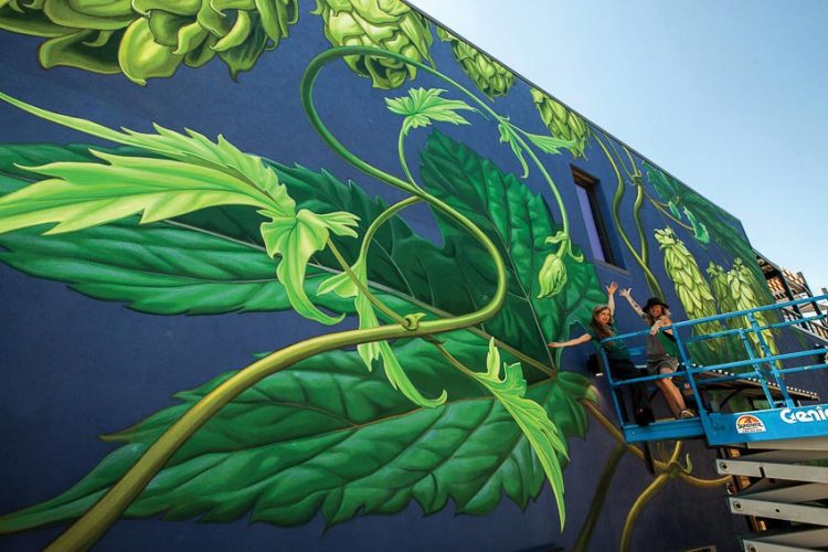 Mona Caron (trái) và một người bạn đang thực hiện tranh tường tại nhà máy bia Odell Brewing ở Denver, Colorado, tranh vẽ những hoa bia houblon khổng lồ