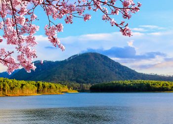 dnp784-tet-co-truyen-tai-dalat-edensee-resort-bv-141218-0