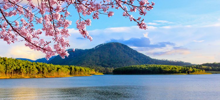 dnp784-tet-co-truyen-tai-dalat-edensee-resort-bv-141218-0