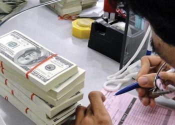 Vì sao cần “siết” tín dụng ngoại tệ? 1