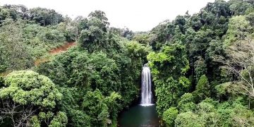 Thác nước trong rừng Chư Mom Ray 2