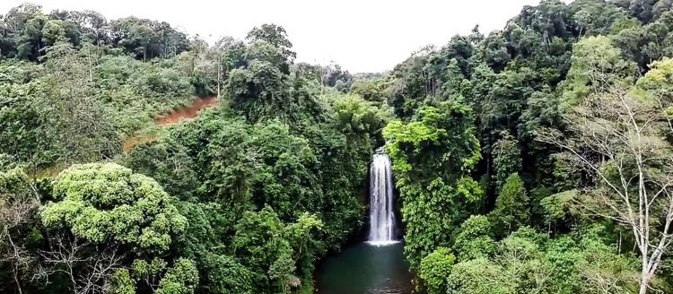 Thác nước trong rừng Chư Mom Ray 2