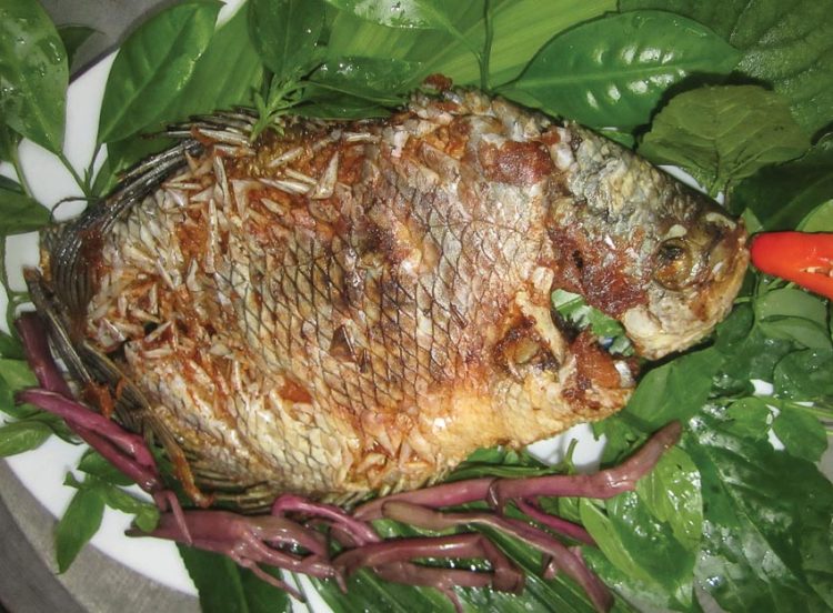 Cá tai tượng chiên xù