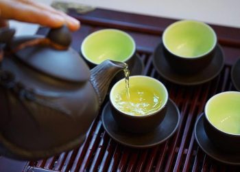 Trà cổ thụ Tà Xùa