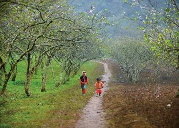 Bao giờ giáo dục mang xuân tới?