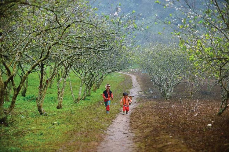 Bao giờ giáo dục mang xuân tới?