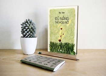 Đủ nắng thì hoa nở 1