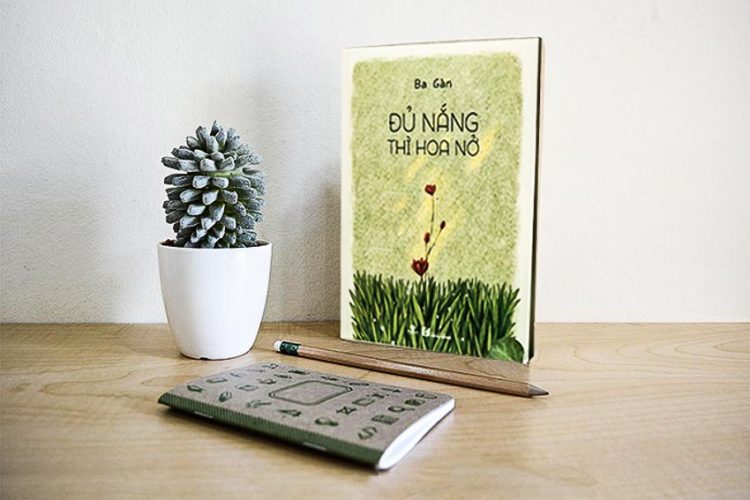 Đủ nắng thì hoa nở 1