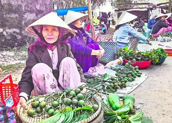 Nhà nghèo lo Tết