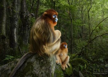 Mãn nhãn với Top 50 bức ảnh tuyệt đẹp của cuộc thi Travel Photographer of The Year 2018 (phần 1)