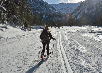 Những thói quen giúp người Phần Lan thành công khi khởi nghiệp