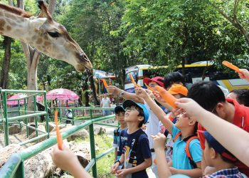 Thiên nhiên - một phần quan trọng của giáo dục 2