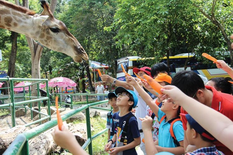 Thiên nhiên - một phần quan trọng của giáo dục 2