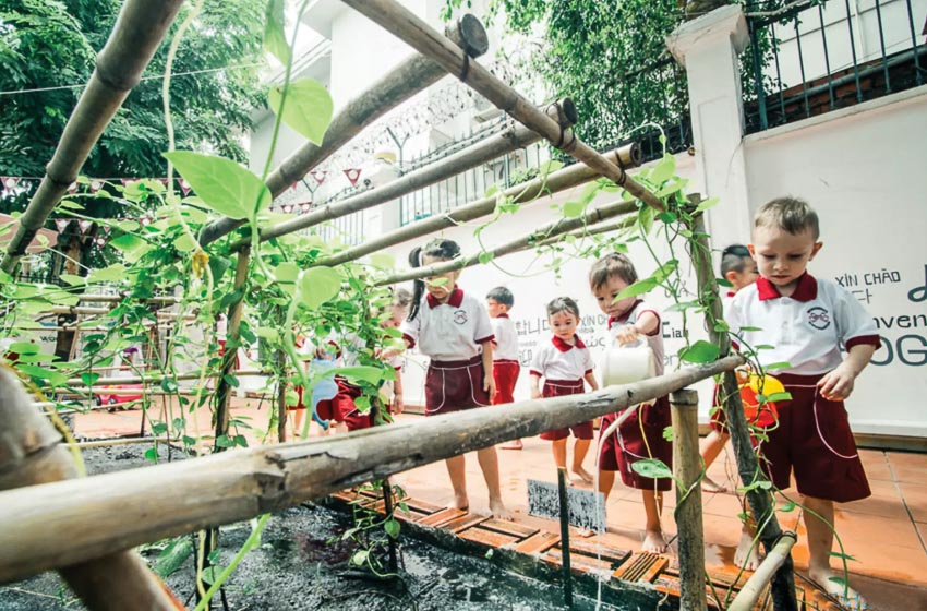 Thiên nhiên - một phần quan trọng của giáo dục 5