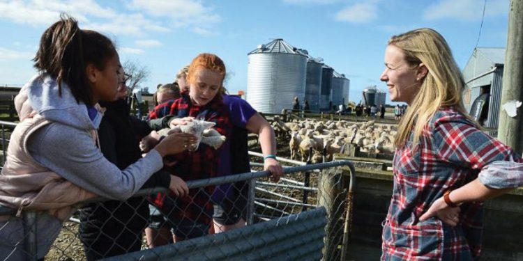 New Zealand có nền giáo dục thân thiện với môi trường nhất thế giới