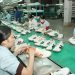 CPTPP chuẩn bị có hiệu lực: Thuế giảm mạnh nhưng chưa vội mừng
