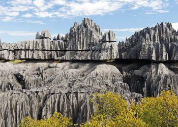 Khung cảnh ấn tượng của rừng đá 2