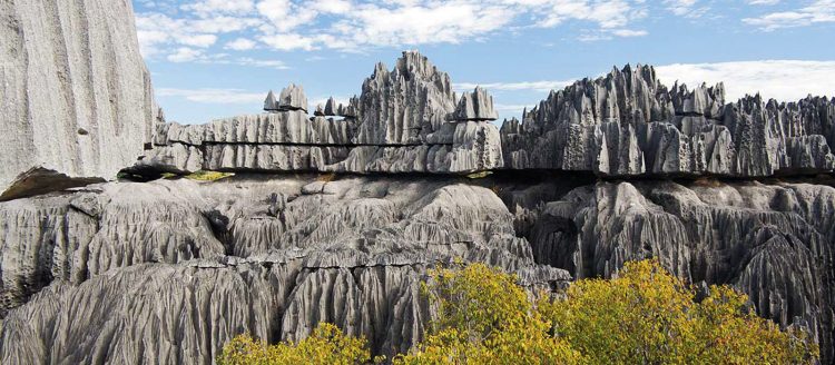 Khung cảnh ấn tượng của rừng đá 2