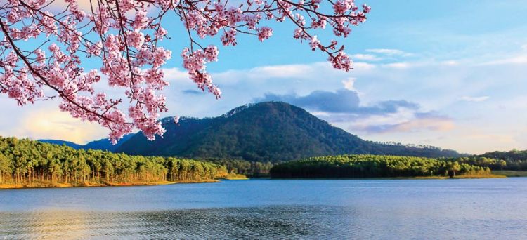 Tết cổ truyền tại Dalat Edensee