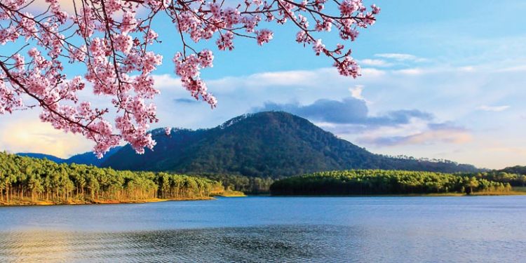 Tết cổ truyền tại Dalat Edensee