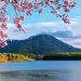 Tết cổ truyền tại Dalat Edensee