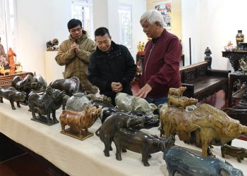 Nhà sử học Dương Trung Quốc (bìa phải) với các tượng lợn trong bộ sưu tập của ông