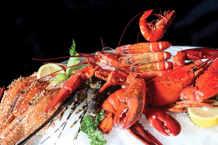 Buffet mừng ngày Quốc khánh Úc