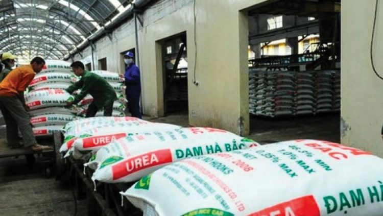 Cơ hội từ việc Vinachem thoái vốn tại các doanh nghiệp