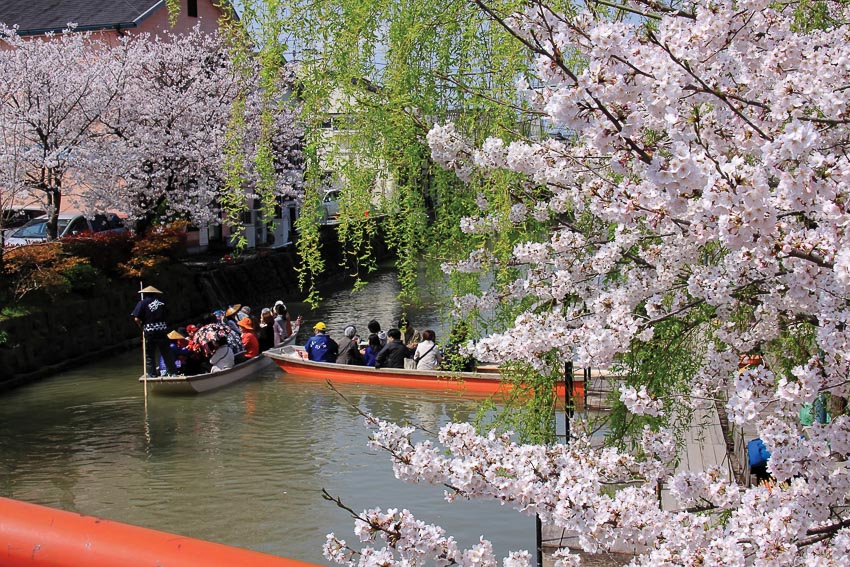 Lễ hội Setsubun diễn ra vào lúc hoa xuân bắt đầu bung nở