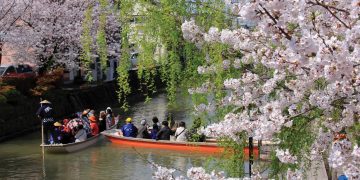 Hoa nở trong công viên Uminonakamichi