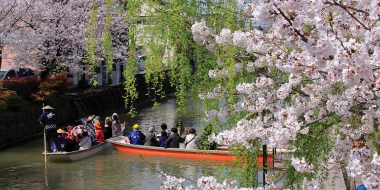 Hoa nở trong công viên Uminonakamichi