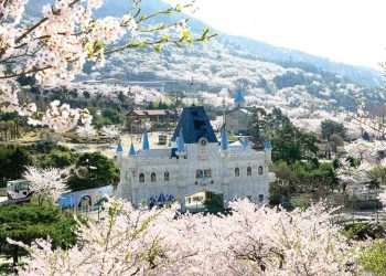 Rủ nhau “check-in” mùa xuân Đông Bắc Á 5
