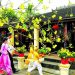 Tục lệ xông nhà đầu năm mới vẫn được lưu truyền từ đời này qua đời khác. Ảnh: T.L