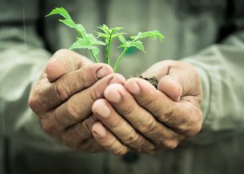 Khơi nguồn sống xanh