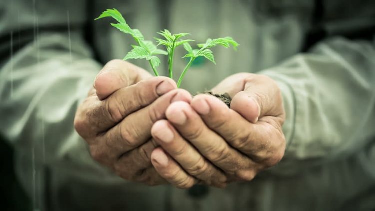 Khơi nguồn sống xanh