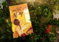 Dẫu không nhìn thấy nắng: Ánh sáng từ nội tâm - Anh 1