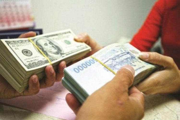 Áp lực lên tỷ giá năm 2019 sẽ giảm